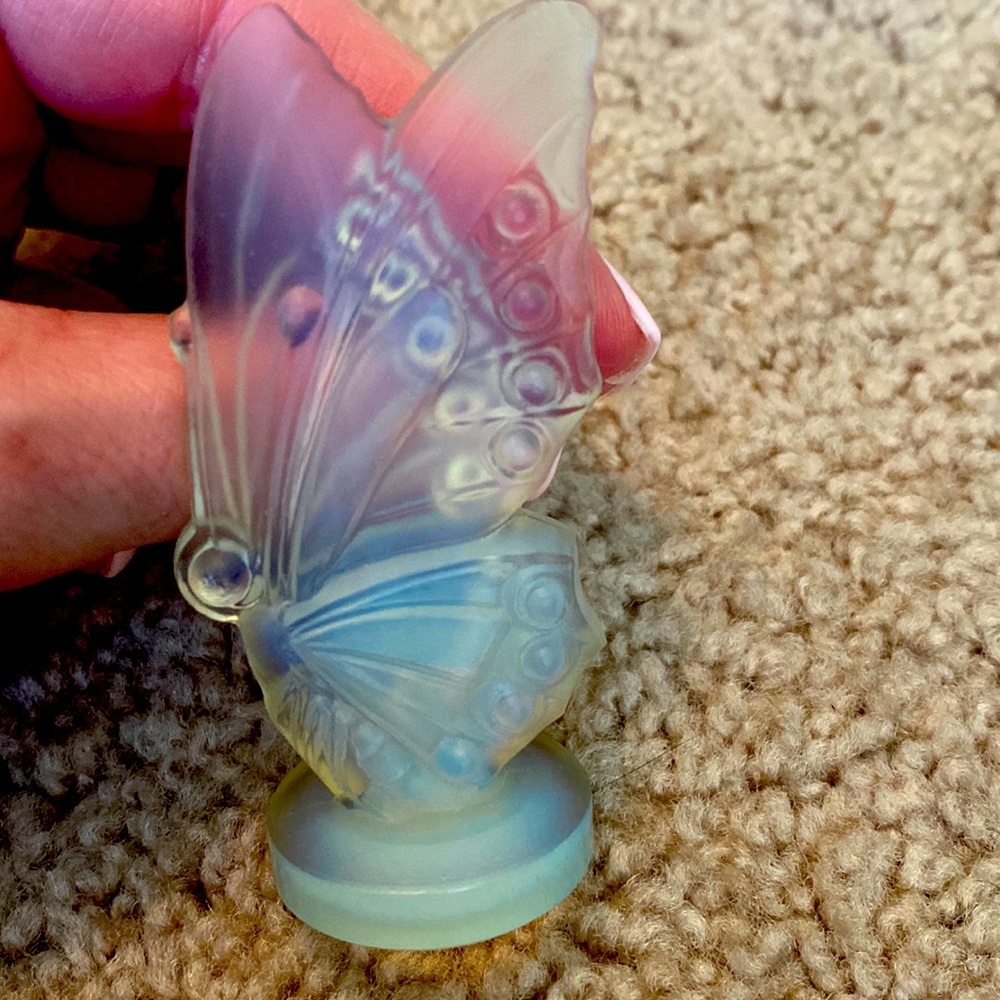 Sabino Beautiful closed butterfly, no chips